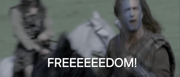 A Gif of Mel Gibson in Braveheart shouting FREEEEEDOM!